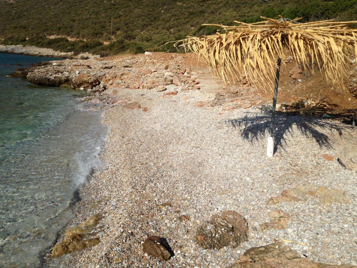 Lazy Farm Villa Prasinon Dış mekan fotoğraf